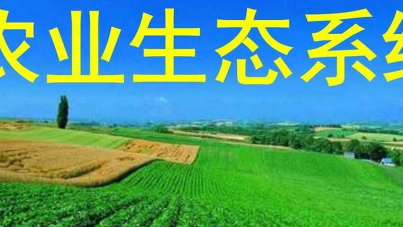 山东农业种植技术服务：提升亩产的关键因素