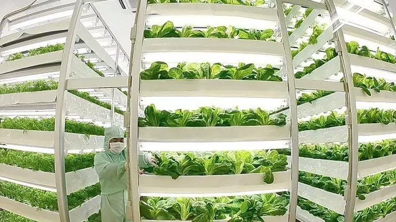 合作社注销公告去哪查？官网操作流程与常见误区