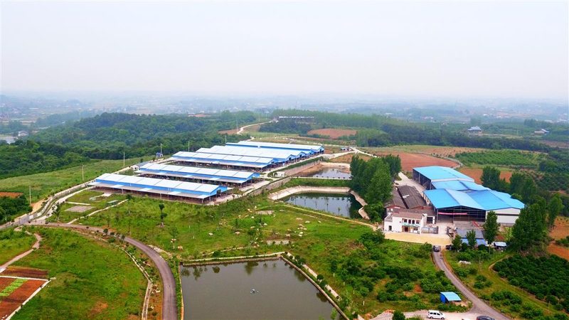 市级现代农业产业园建设，别只盯着“申报材料