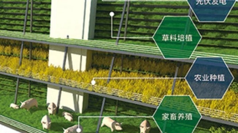 农业产业园规划，资质先行是常被忽略的硬门槛