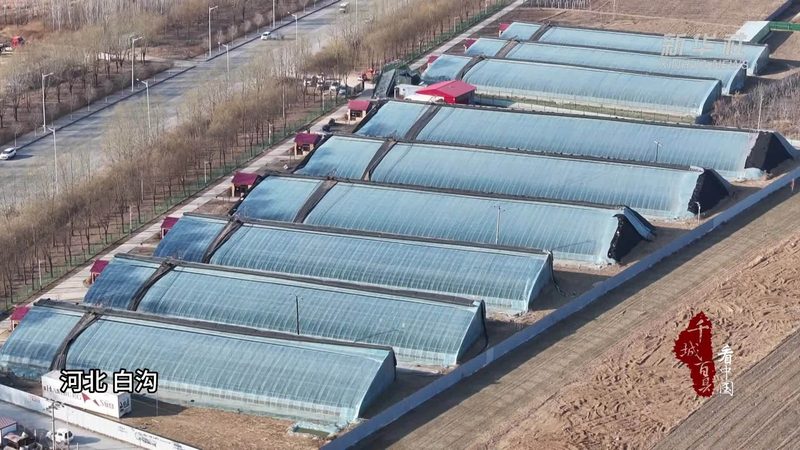 合作社财务管理制度范本：构建稳健财务体系的基石