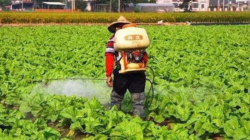 无土栽培营养液，如何科学配制？**
