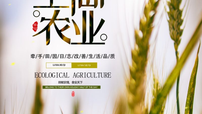 大棚葡萄的投入账本，算清这笔钱才能不白忙